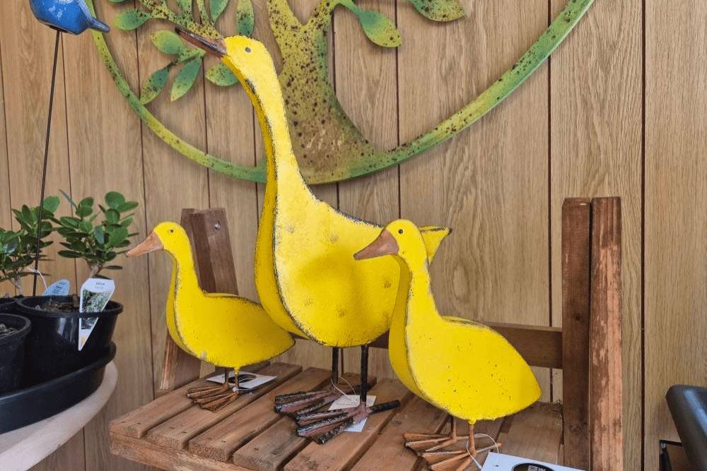Garden plants Yass homewares and gifts